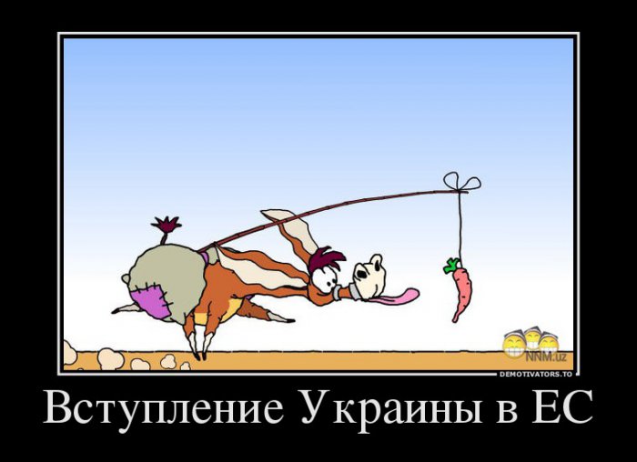 Граждане Германии и Франции против предстоящего вступления Украины в ЕС