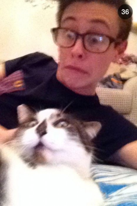 Милые и забавные животные