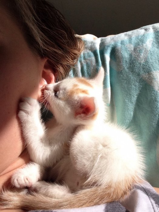 Милые и забавные животные