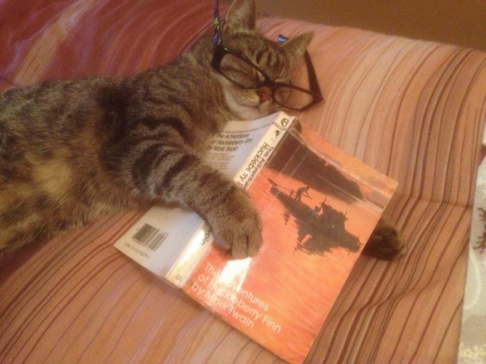 Милые и забавные животные