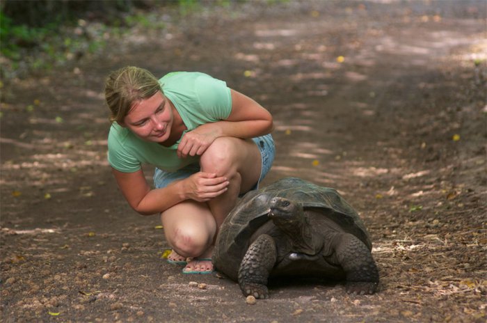 Госдума приняла во втором чтении законопроект о штрафе за слишком медленную езду