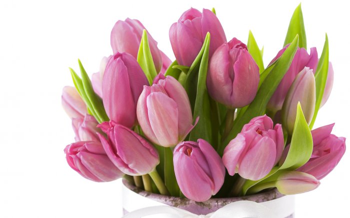 Обои на рабочий стол / Flowers. Wallpaper 5