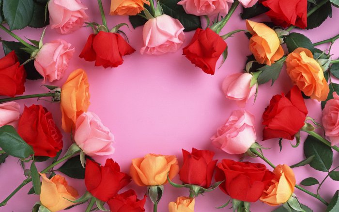 Обои на рабочий стол / Flowers. Wallpaper 5