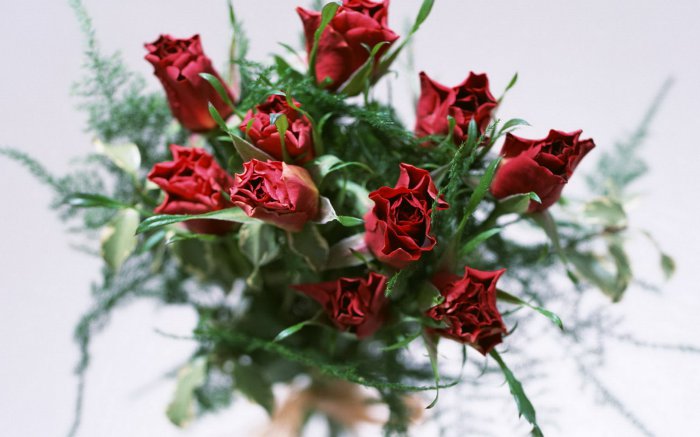 Обои на рабочий стол / Flowers. Wallpaper 5