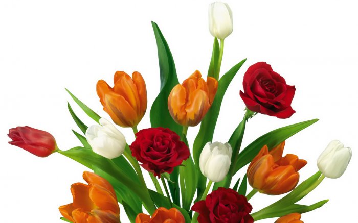 Обои на рабочий стол / Flowers. Wallpaper 5