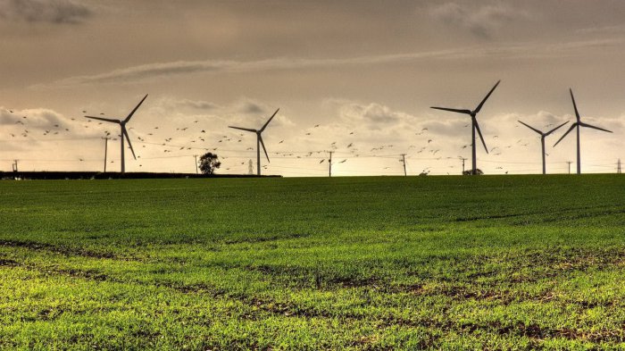 Обои на рабочий стол / Sbornik oboev 264