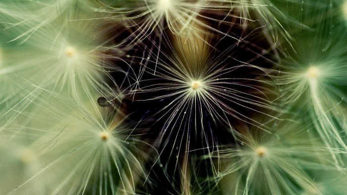 Обои на рабочий стол / Sbornik oboev 264