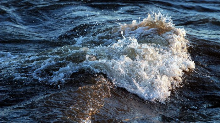 Обои на рабочий стол / Sbornik oboev 264