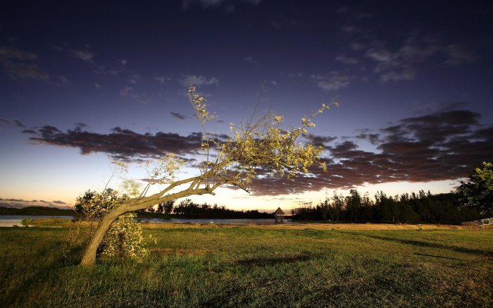 Обои на рабочий стол / Sbornik oboev 264