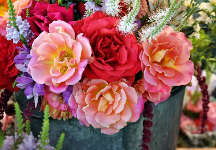 Обои на рабочий стол / HQ Wallpapers Beautiful Flowers