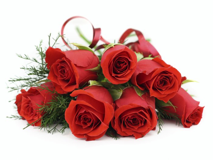 Обои на рабочий стол / HQ Wallpapers Beautiful Flowers