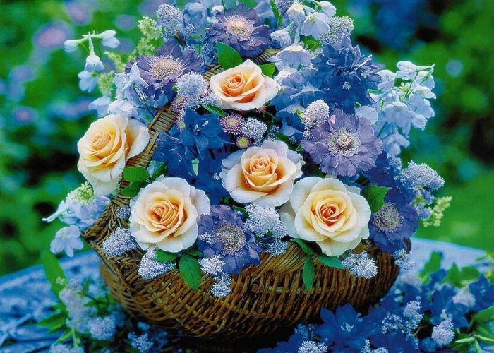 Обои на рабочий стол / HQ Wallpapers Beautiful Flowers