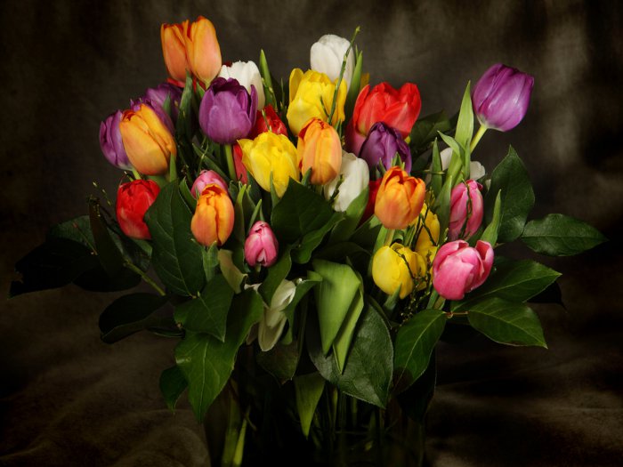 Обои на рабочий стол / HQ Wallpapers Beautiful Flowers