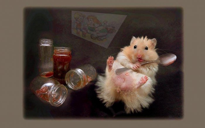 Обои на рабочий стол / Wallpapers by famdoc mix 117