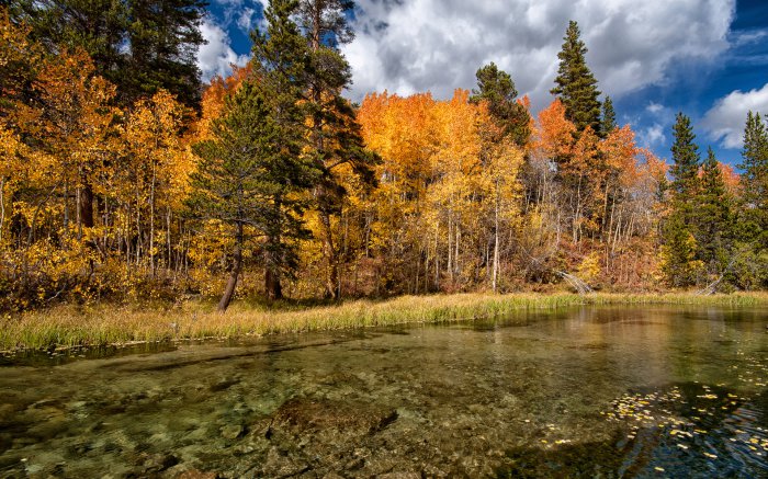 Обои на рабочий стол / Beautiful Nature Wallpapers 64