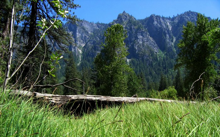 Обои на рабочий стол / Beautiful Nature Wallpapers 64