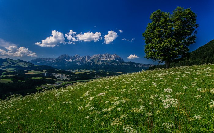 Обои на рабочий стол / Beautiful Nature Wallpapers 64