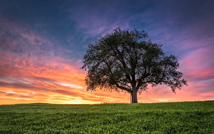 Обои на рабочий стол / Beautiful Nature Wallpapers 64