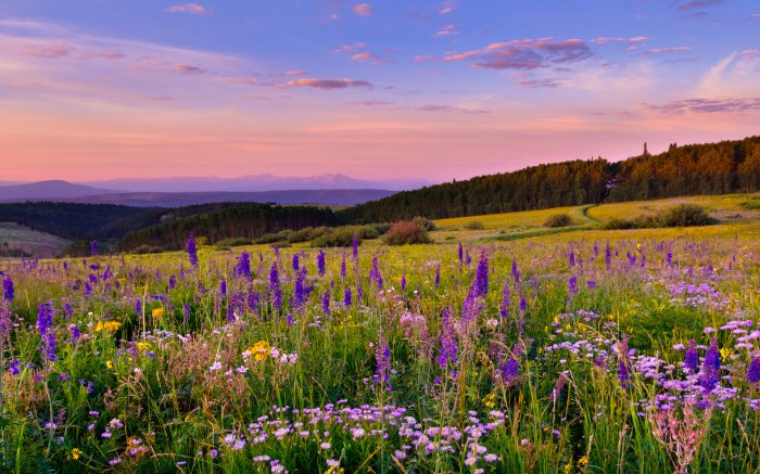 Обои на рабочий стол / Beautiful Nature Wallpapers 64