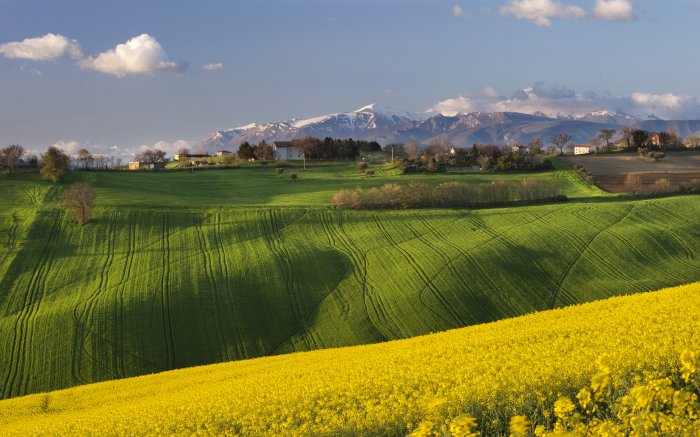 Обои на рабочий стол / Beautiful Nature Wallpapers 64