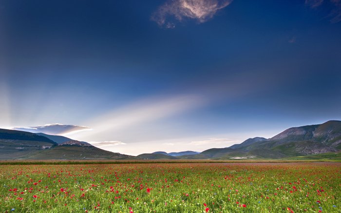 Обои на рабочий стол / Beautiful Nature Wallpapers 64