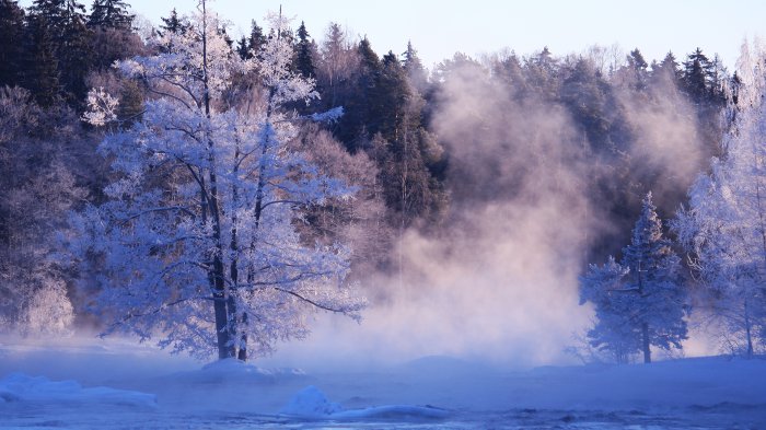 Обои на рабочий стол / Beautiful Nature Wallpapers 64