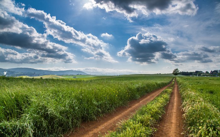 Обои на рабочий стол / Beautiful Nature Wallpapers 64