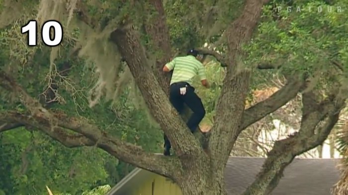 ТОП 10 ударов в гольфе