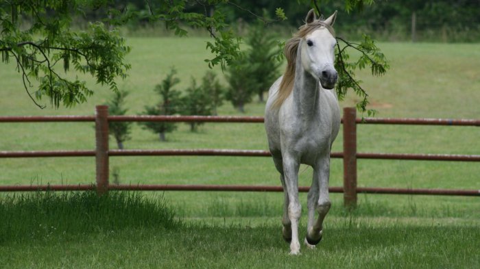 Обои на рабочий стол / Nature Wallpapers by famdoc 479