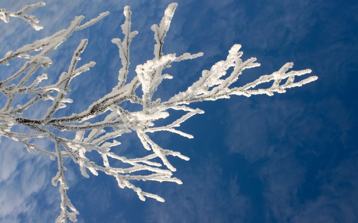 Обои на рабочий стол / Nature Wallpapers by famdoc 479