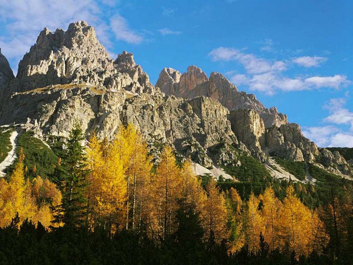 Обои на рабочий стол / Nature Wallpapers by famdoc 479