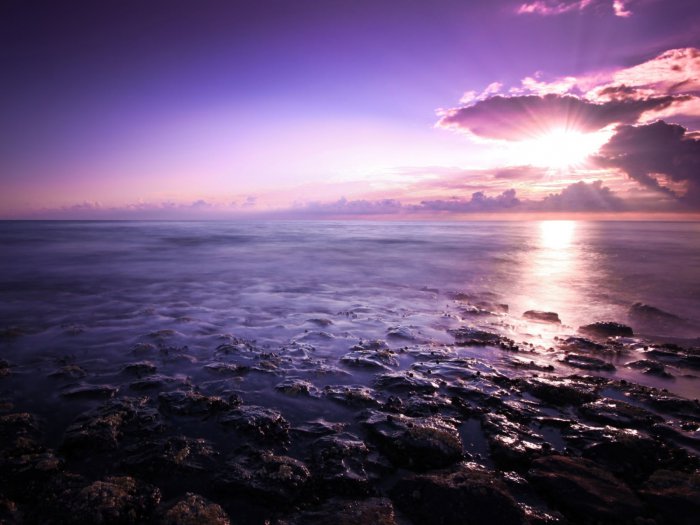 Обои на рабочий стол / Nature Wallpapers by famdoc 479