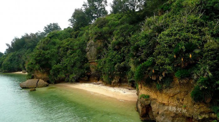 Обои на рабочий стол / Nature Wallpapers by famdoc 479