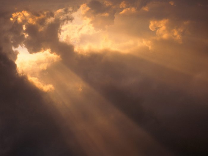 Обои на рабочий стол / Nature Wallpapers by famdoc 479