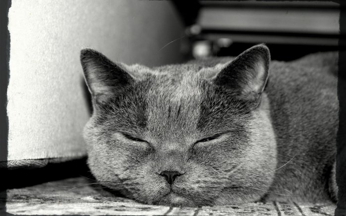 Обои на рабочий стол / Best HD Wallpapers Pack 1146