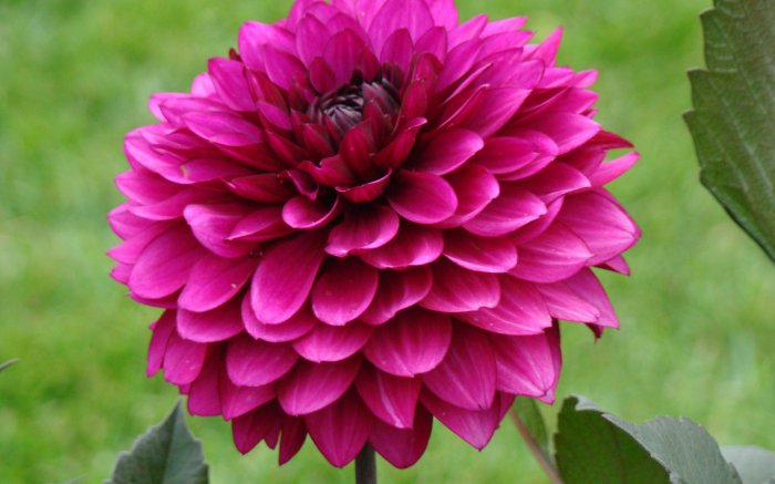 Обои на рабочий стол / Best HD Wallpapers Pack 1146