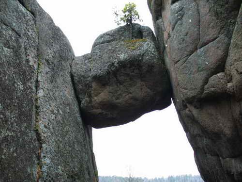 За вход на «Столбы» станут взимать плату в 30 рублей