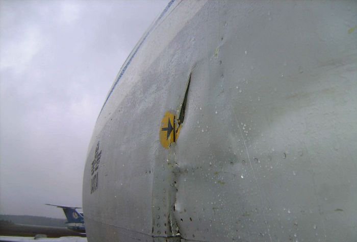 Встреча гуся с самолетом Ту-154м Встреча гуся с самолетом Ту-154м