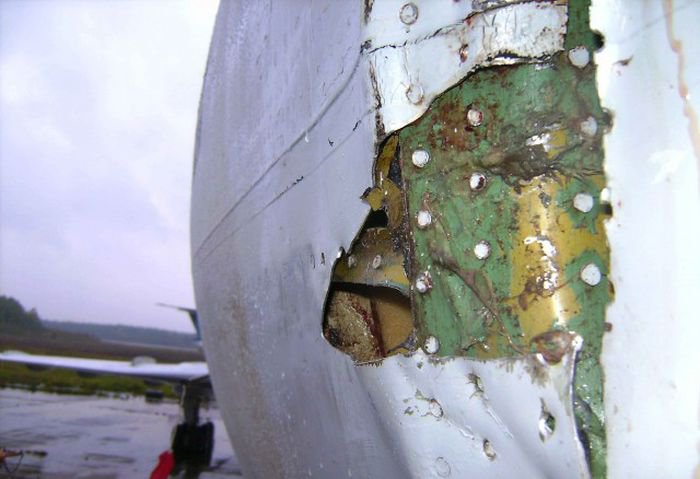 Встреча гуся с самолетом Ту-154м Встреча гуся с самолетом Ту-154м