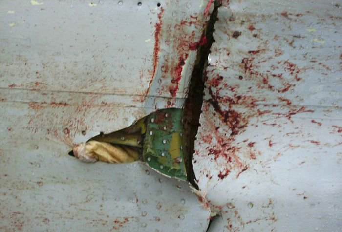 Встреча гуся с самолетом Ту-154м Встреча гуся с самолетом Ту-154м