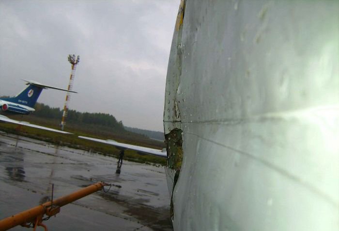 Встреча гуся с самолетом Ту-154м Встреча гуся с самолетом Ту-154м