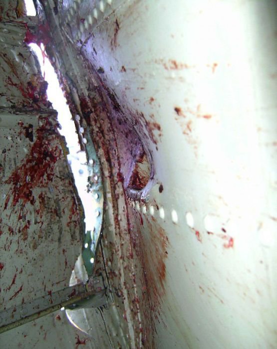 Встреча гуся с самолетом Ту-154м Встреча гуся с самолетом Ту-154м