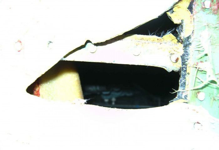 Встреча гуся с самолетом Ту-154м Встреча гуся с самолетом Ту-154м