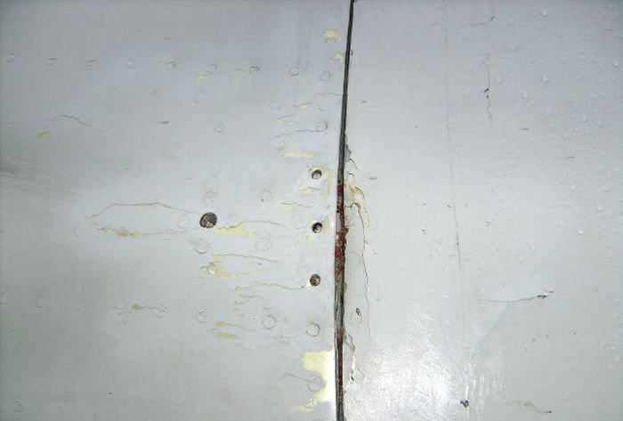 Встреча гуся с самолетом Ту-154м Встреча гуся с самолетом Ту-154м