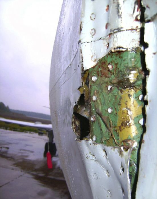 Встреча гуся с самолетом Ту-154м Встреча гуся с самолетом Ту-154м