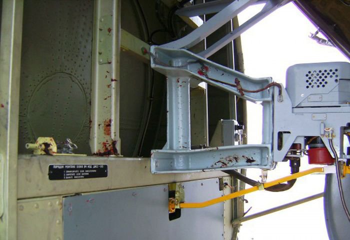 Встреча гуся с самолетом Ту-154м Встреча гуся с самолетом Ту-154м