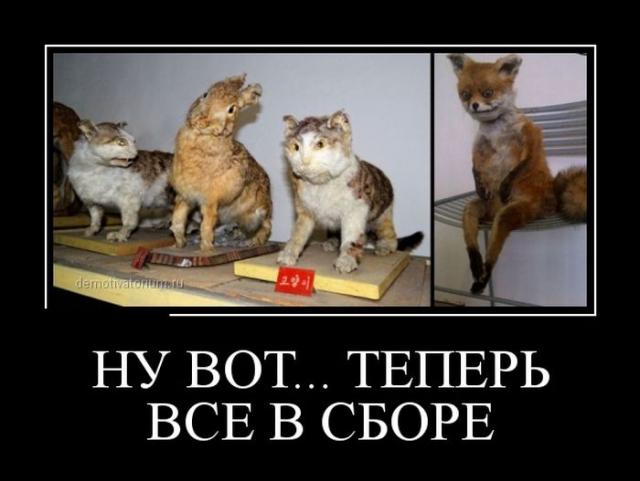 Демотиваторы (30 фото)