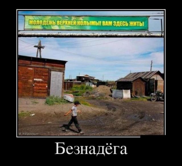 Демотиваторы (30 фото)