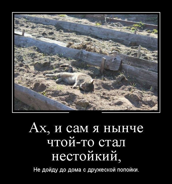 Демотиваторы (30 фото)