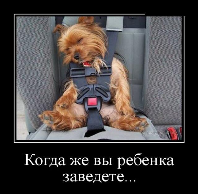 Демотиваторы (30 фото)